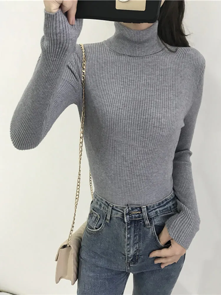 2023 Autumn Winter Thick Sweater Women Knitted Ribbed Pullover Sweater Long Sleeve Turtleneck Slim J