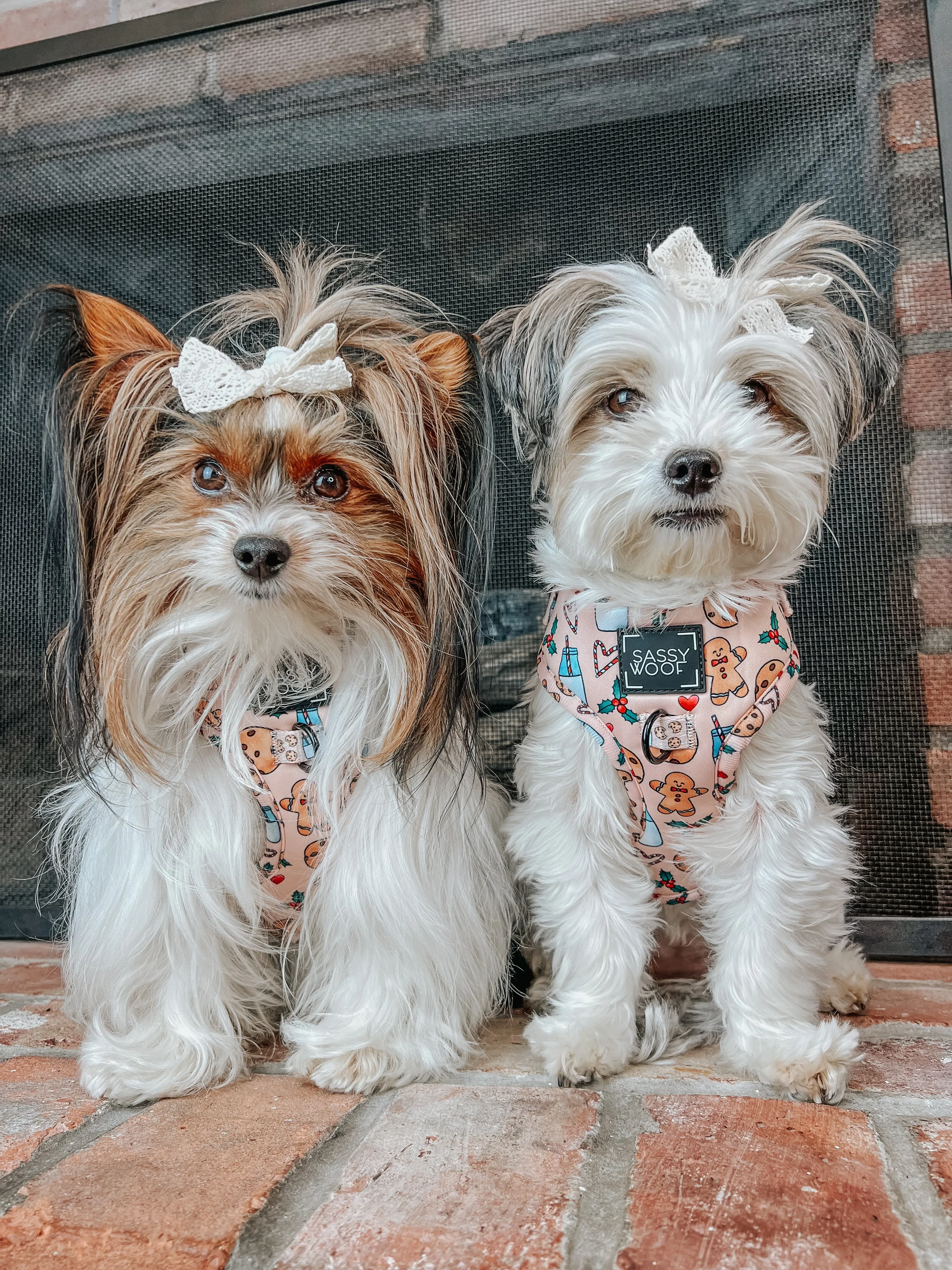 Dog Adjustable Harness - Cookies Fur Santa