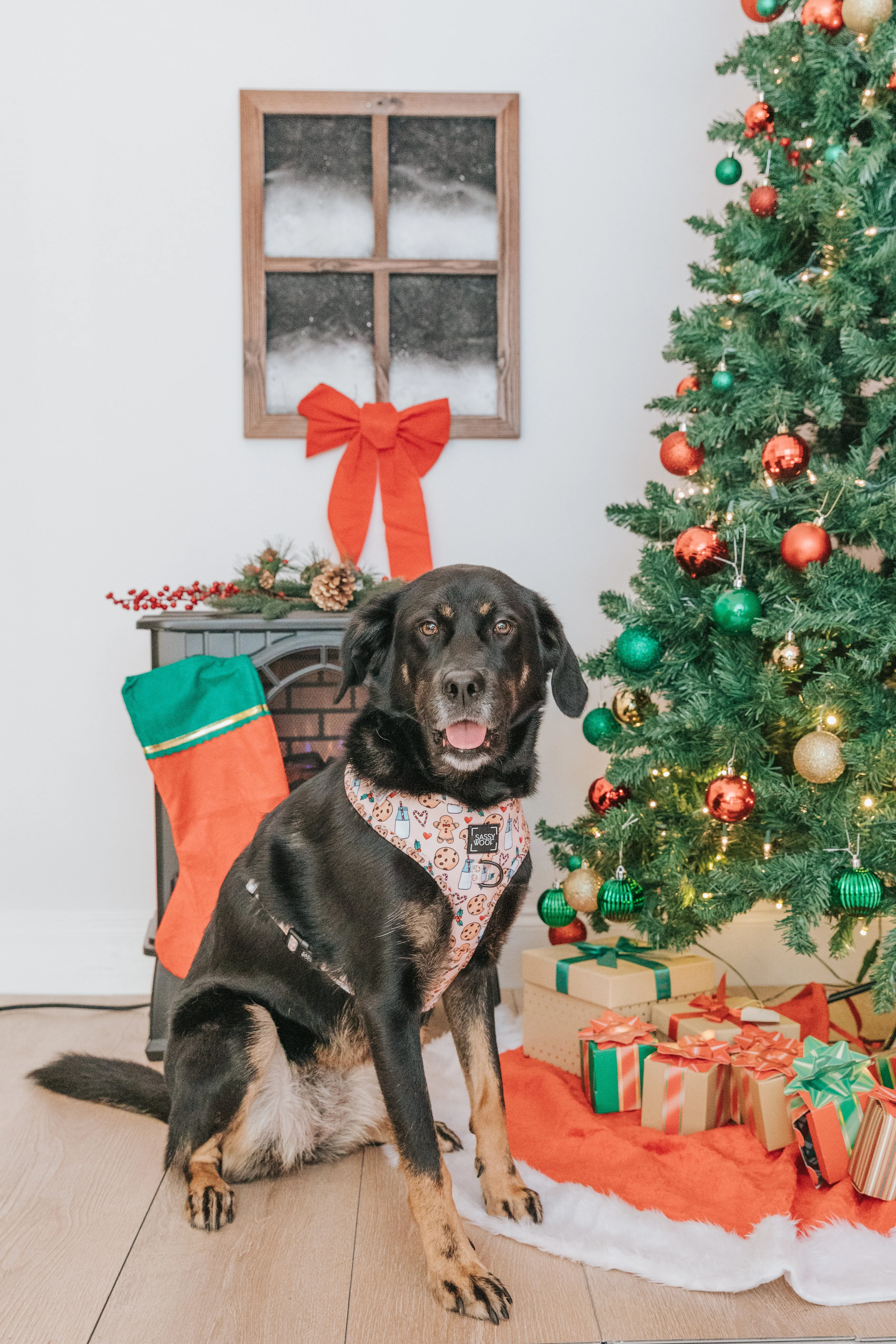 Dog Adjustable Harness - Cookies Fur Santa