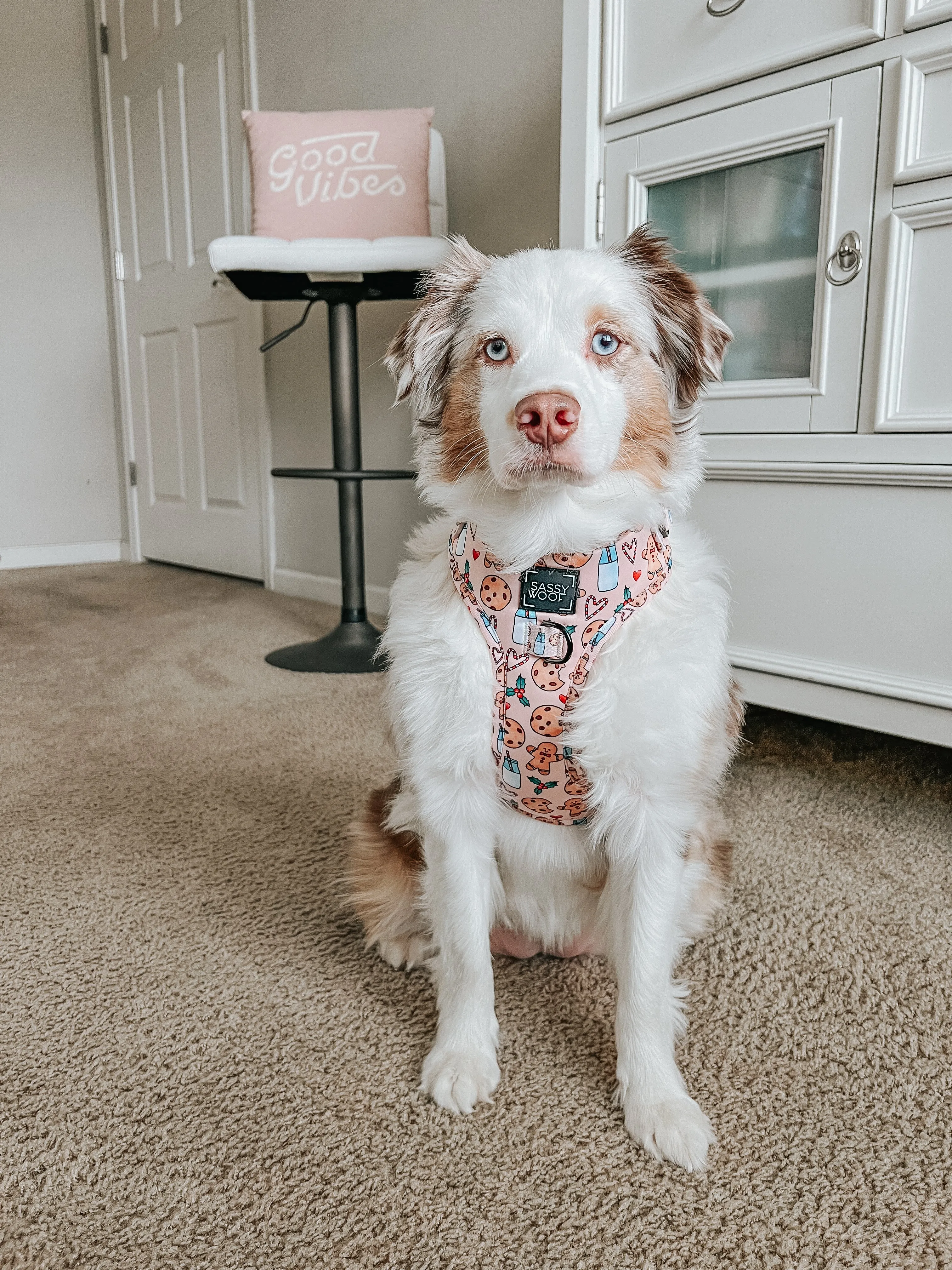 Dog Adjustable Harness - Cookies Fur Santa