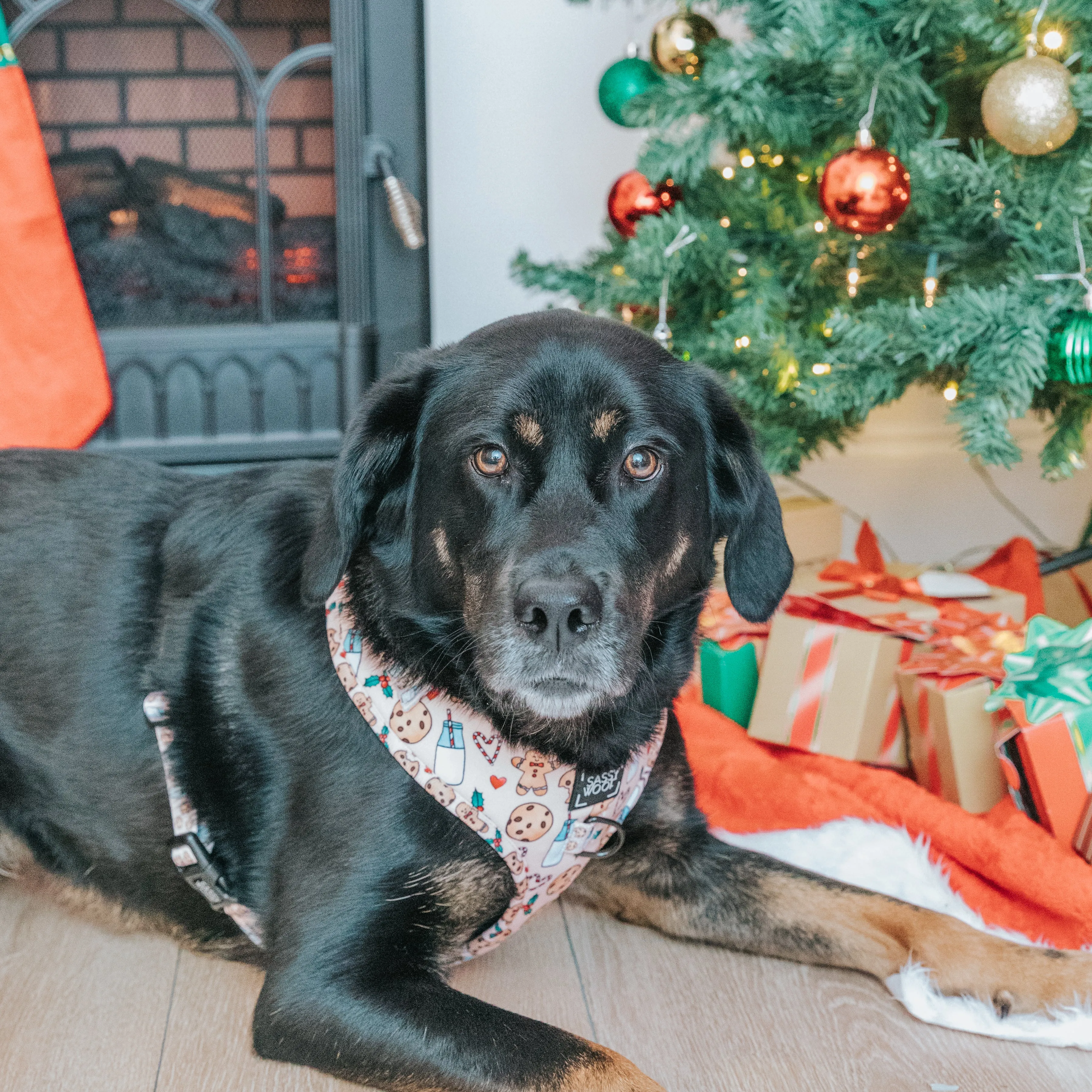 Dog Adjustable Harness - Cookies Fur Santa