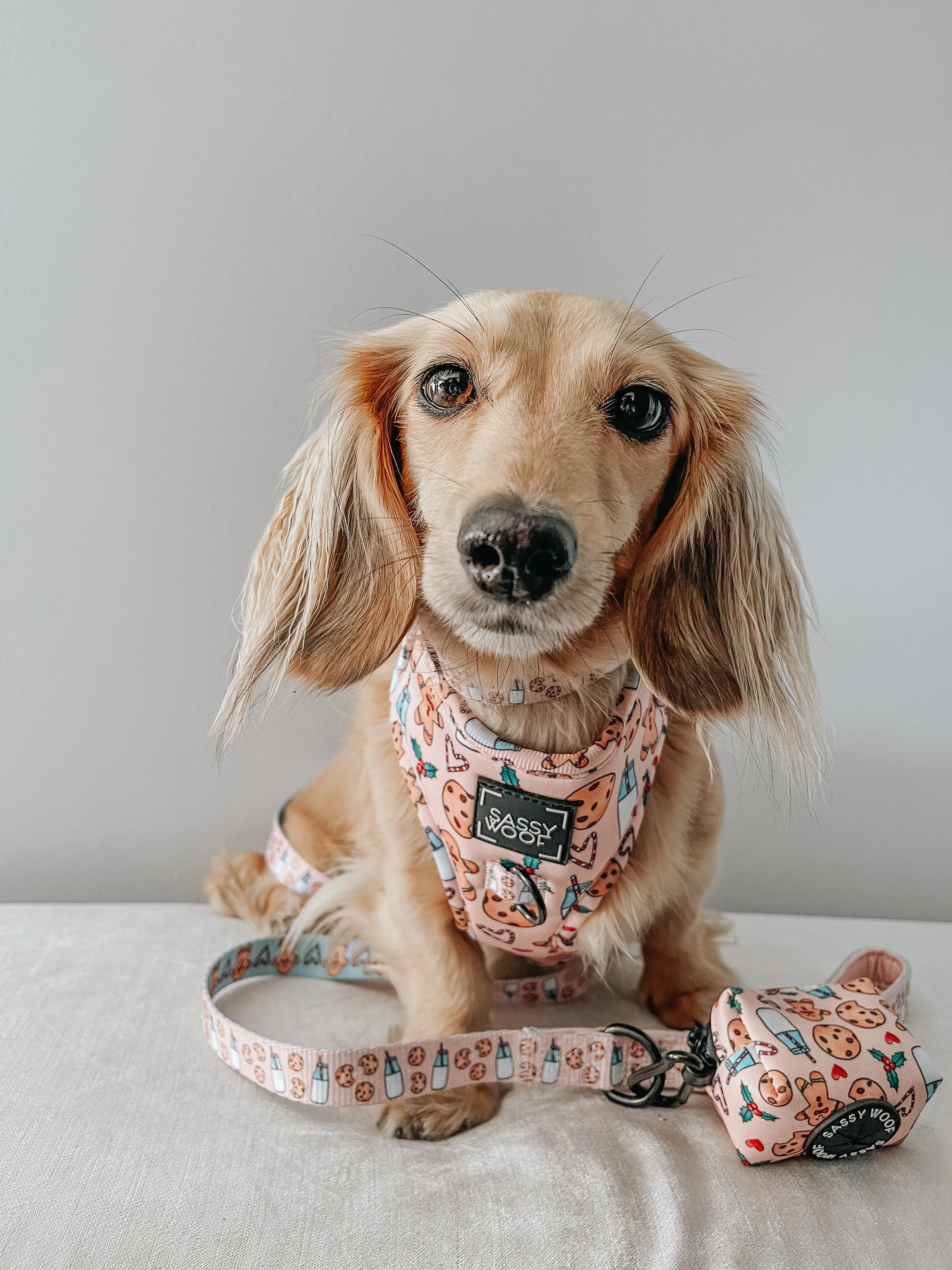 Dog Adjustable Harness - Cookies Fur Santa