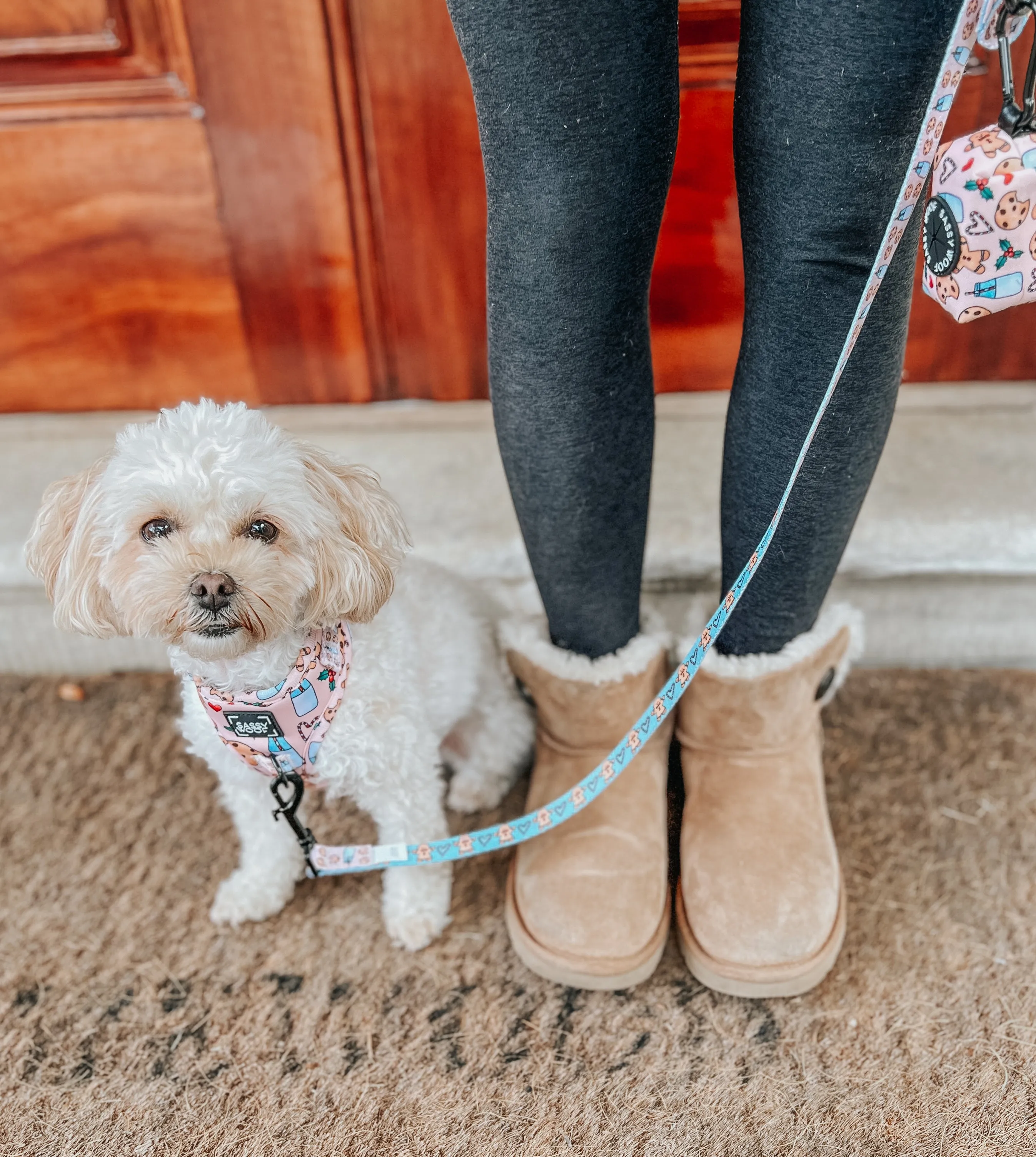 Dog Adjustable Harness - Cookies Fur Santa