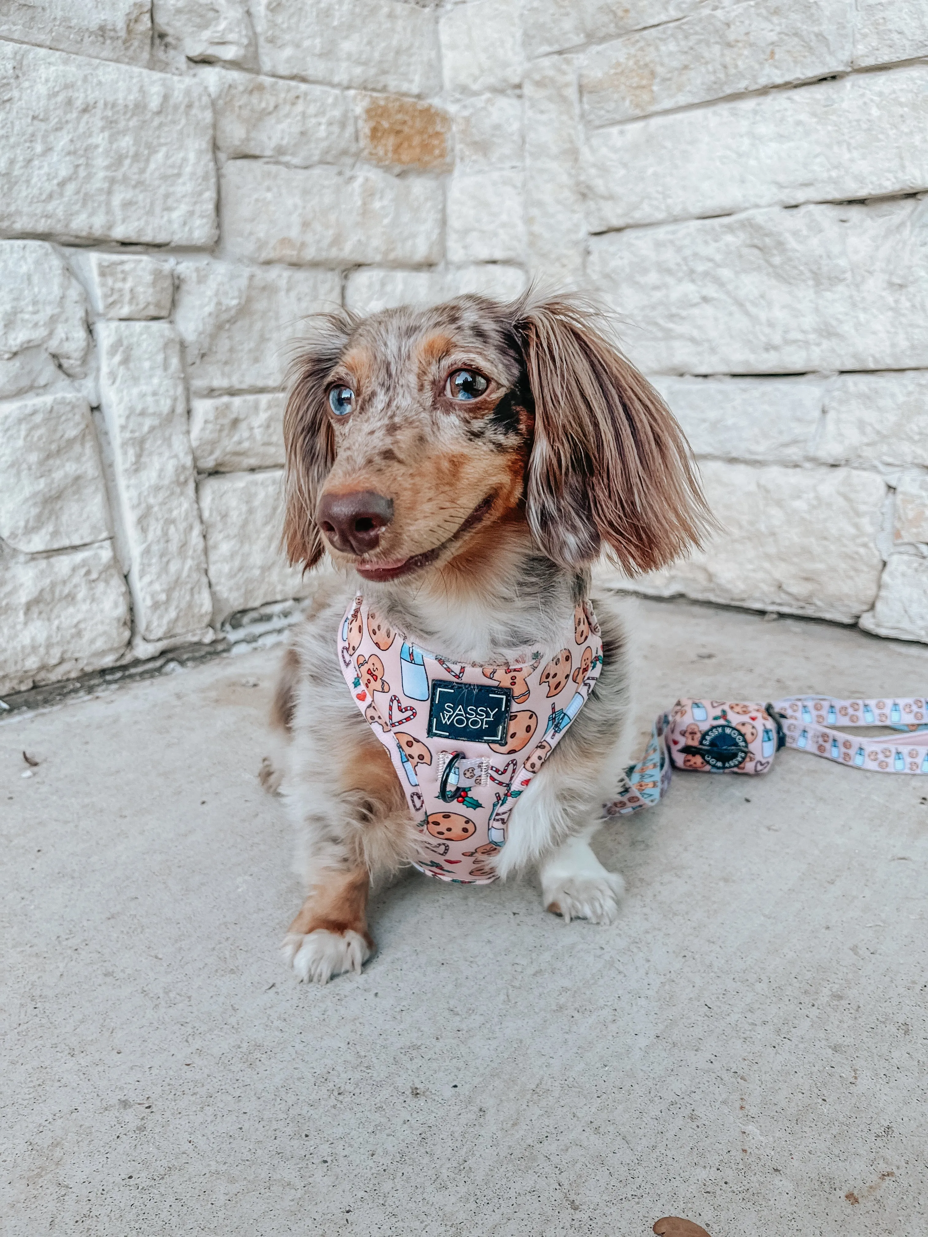 Dog Adjustable Harness - Cookies Fur Santa