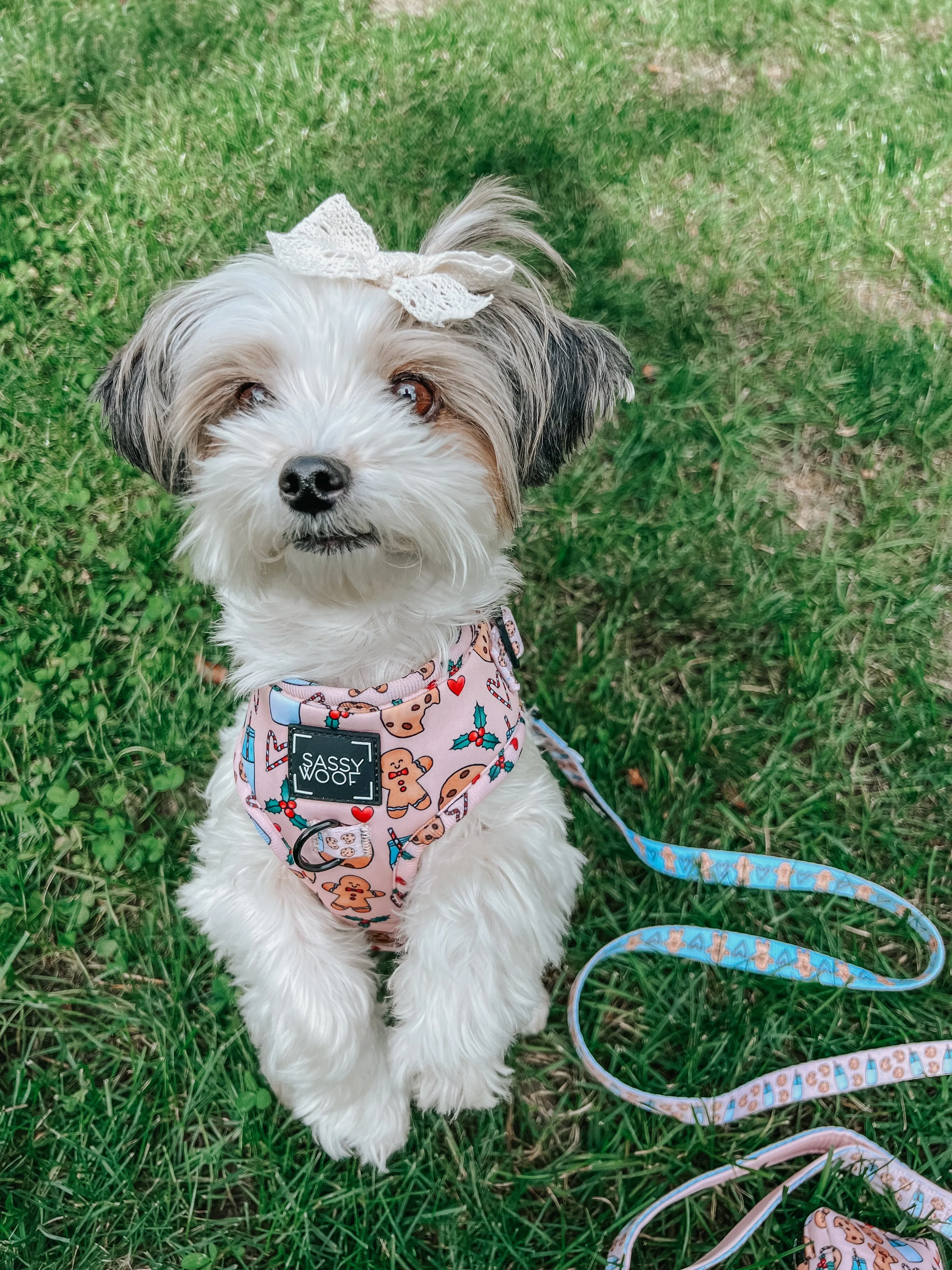 Dog Adjustable Harness - Cookies Fur Santa