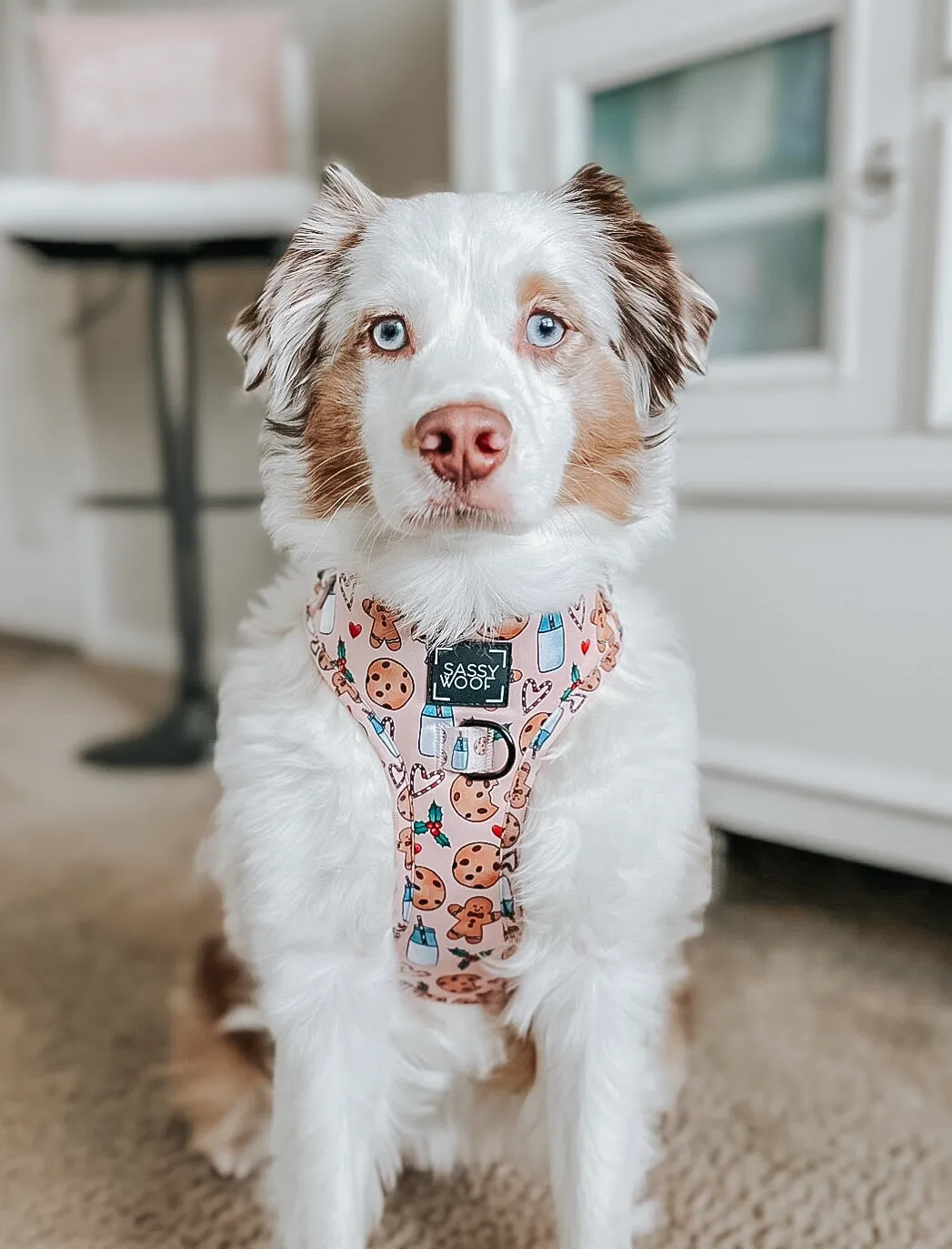 Dog Adjustable Harness - Cookies Fur Santa