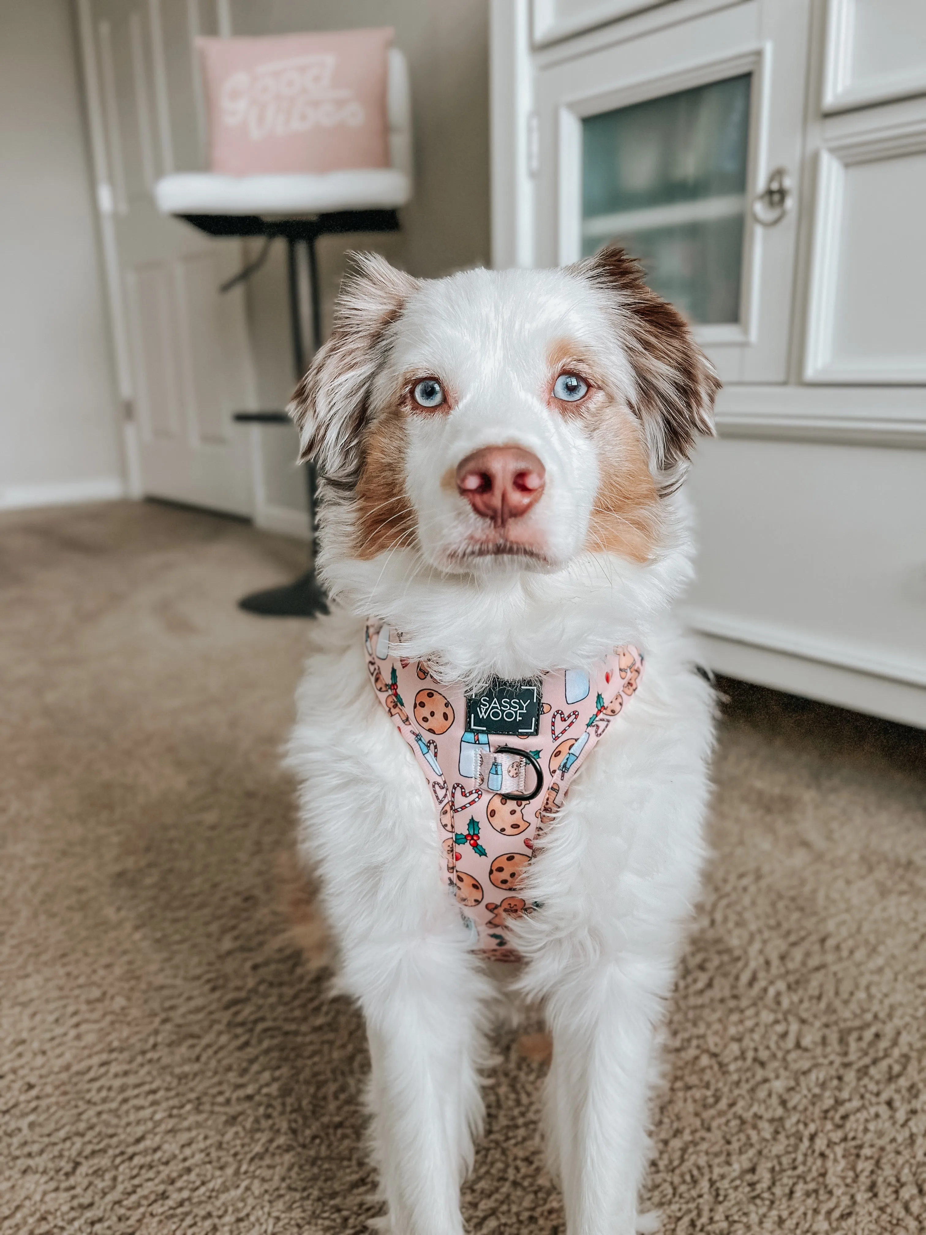 Dog Adjustable Harness - Cookies Fur Santa