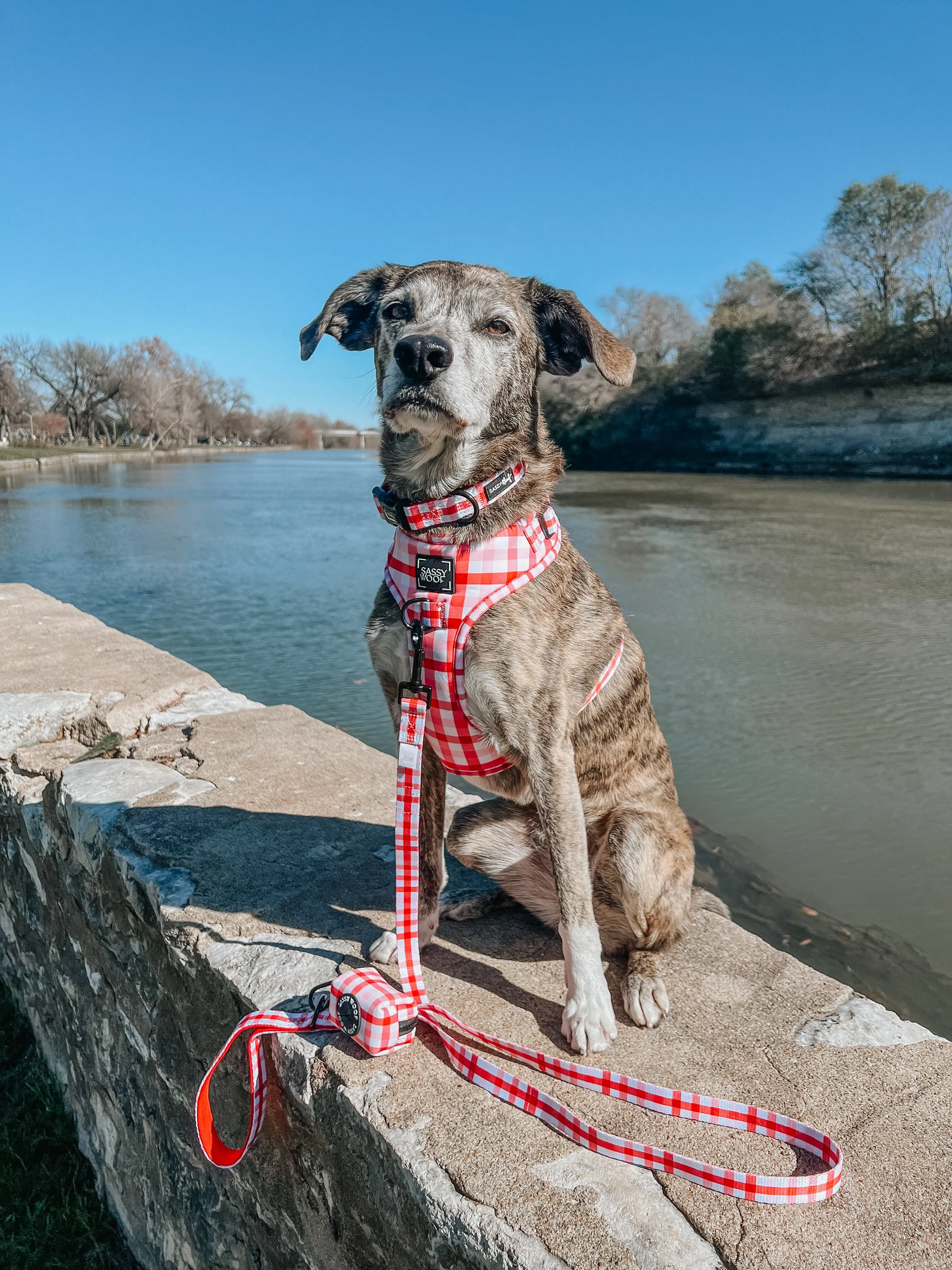 Dog Adjustable Harness - Picnic Fur Two