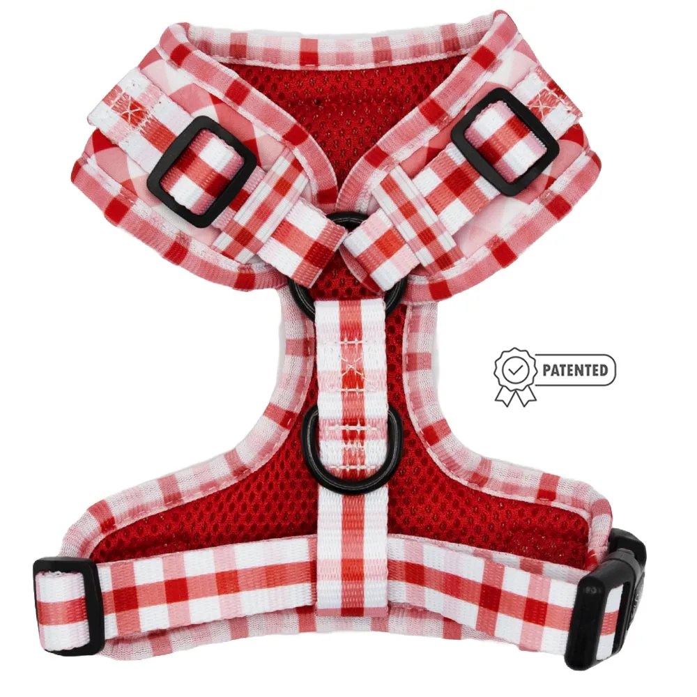 Dog Adjustable Harness - Picnic Fur Two