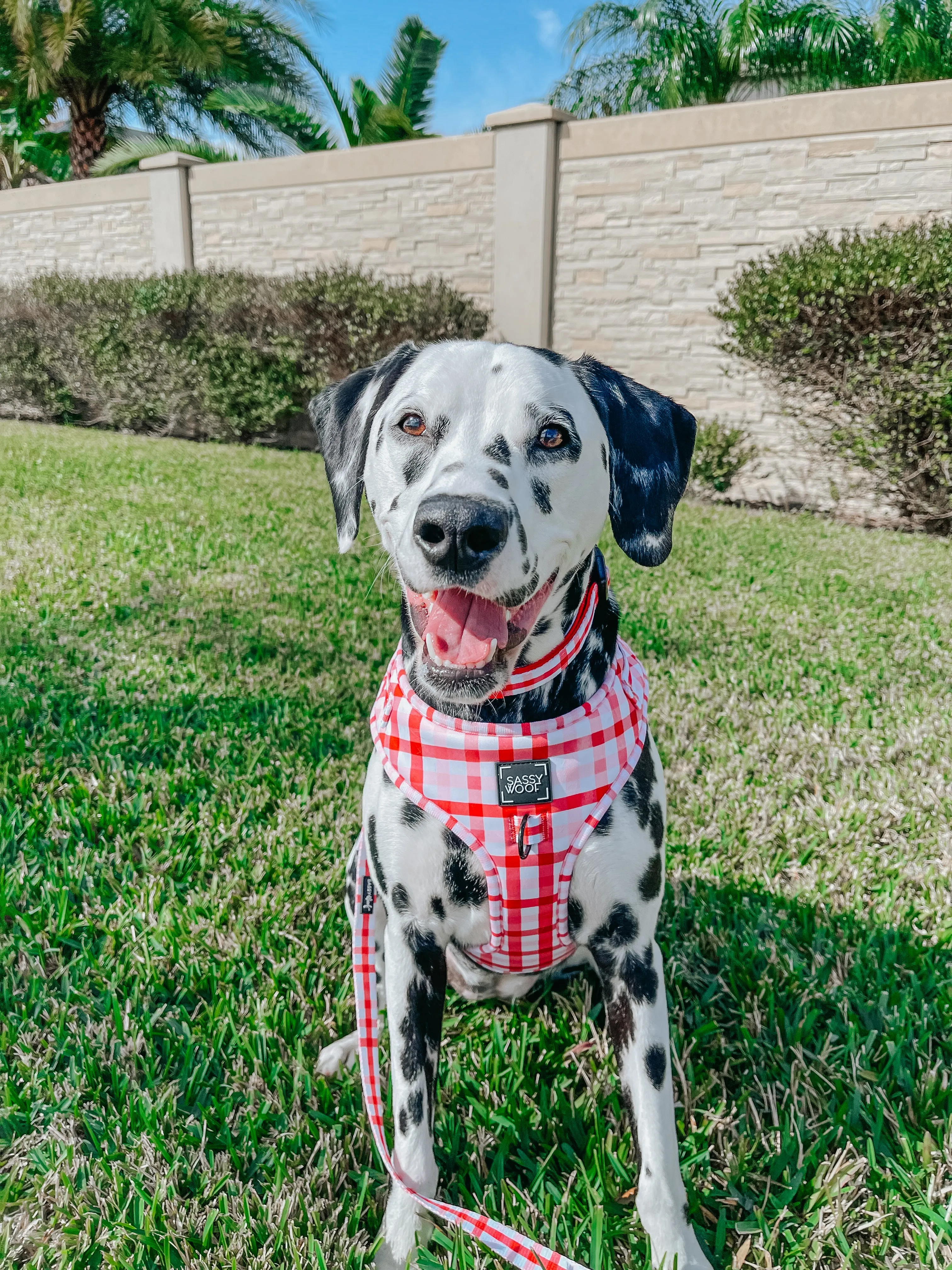 Dog Adjustable Harness - Picnic Fur Two