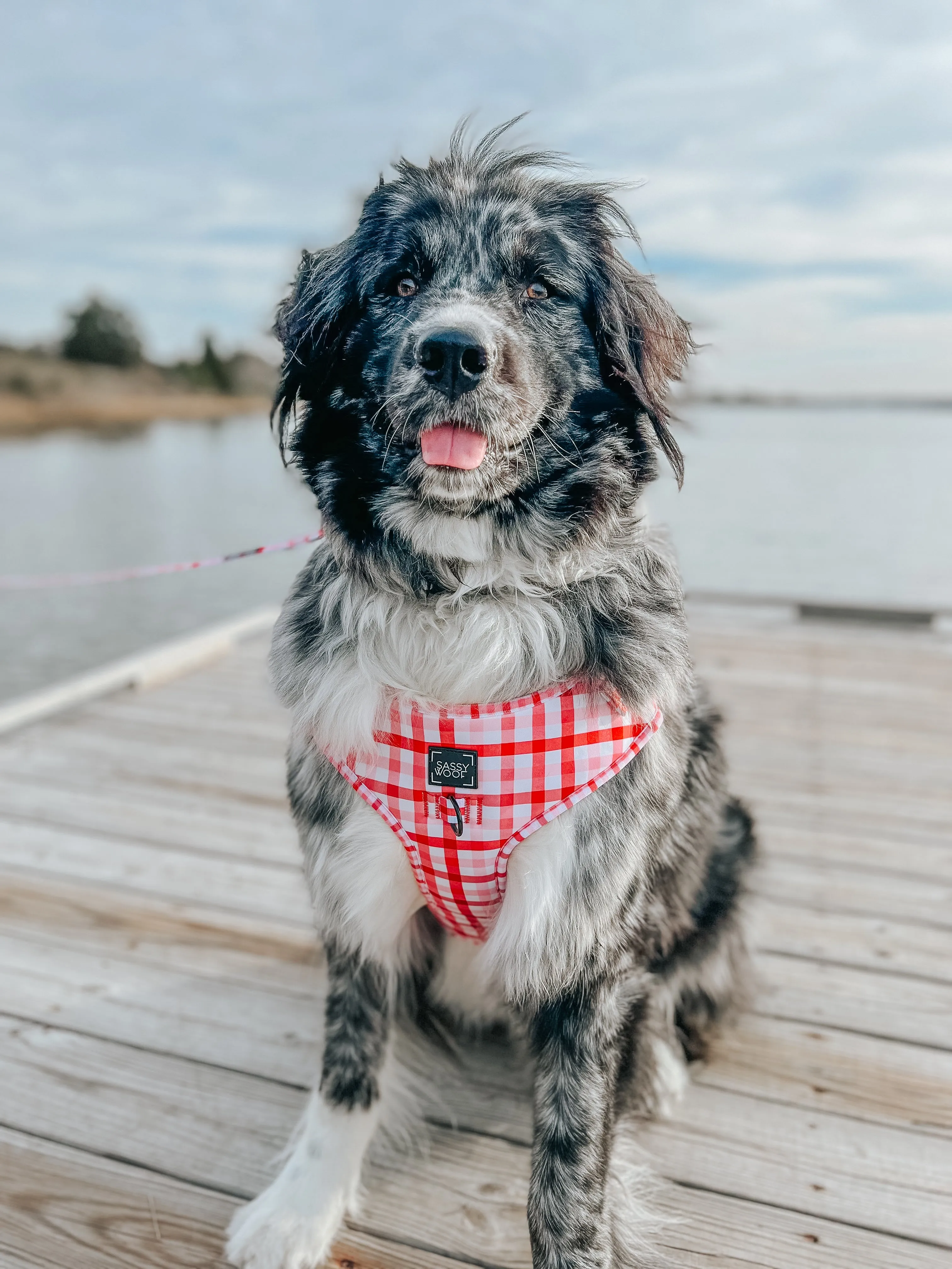 Dog Adjustable Harness - Picnic Fur Two