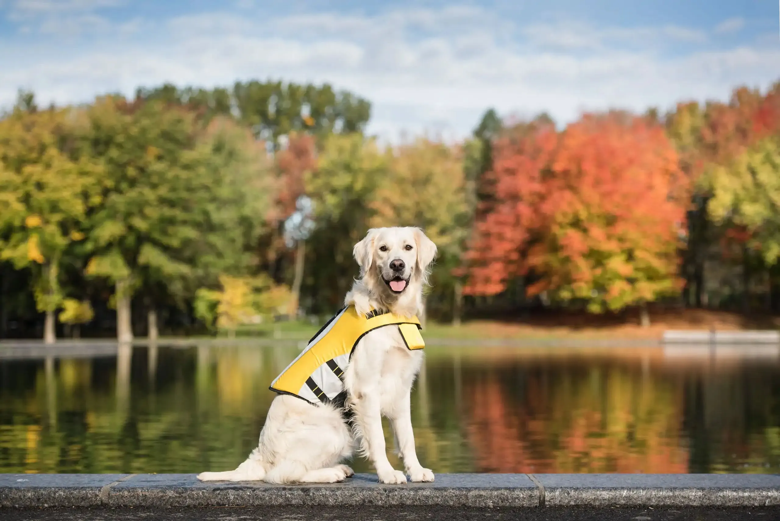 Dog Life Vest Jacket, High buoyancy, Dog Water Safety, Reflective