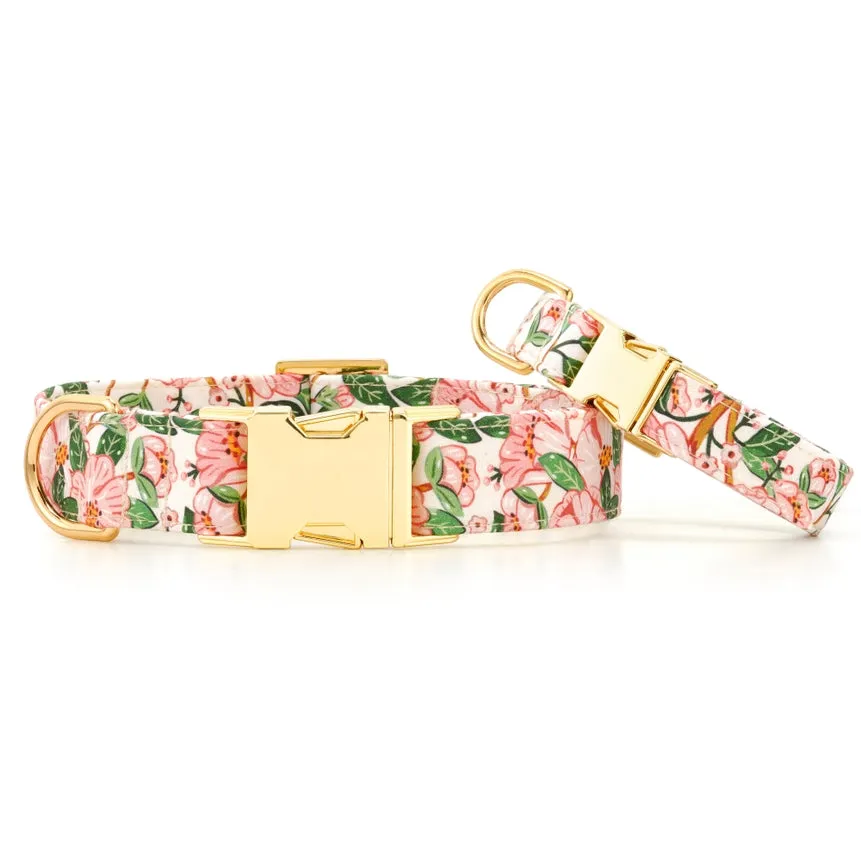 Foggy Dog Camellia Spring Dog Collar