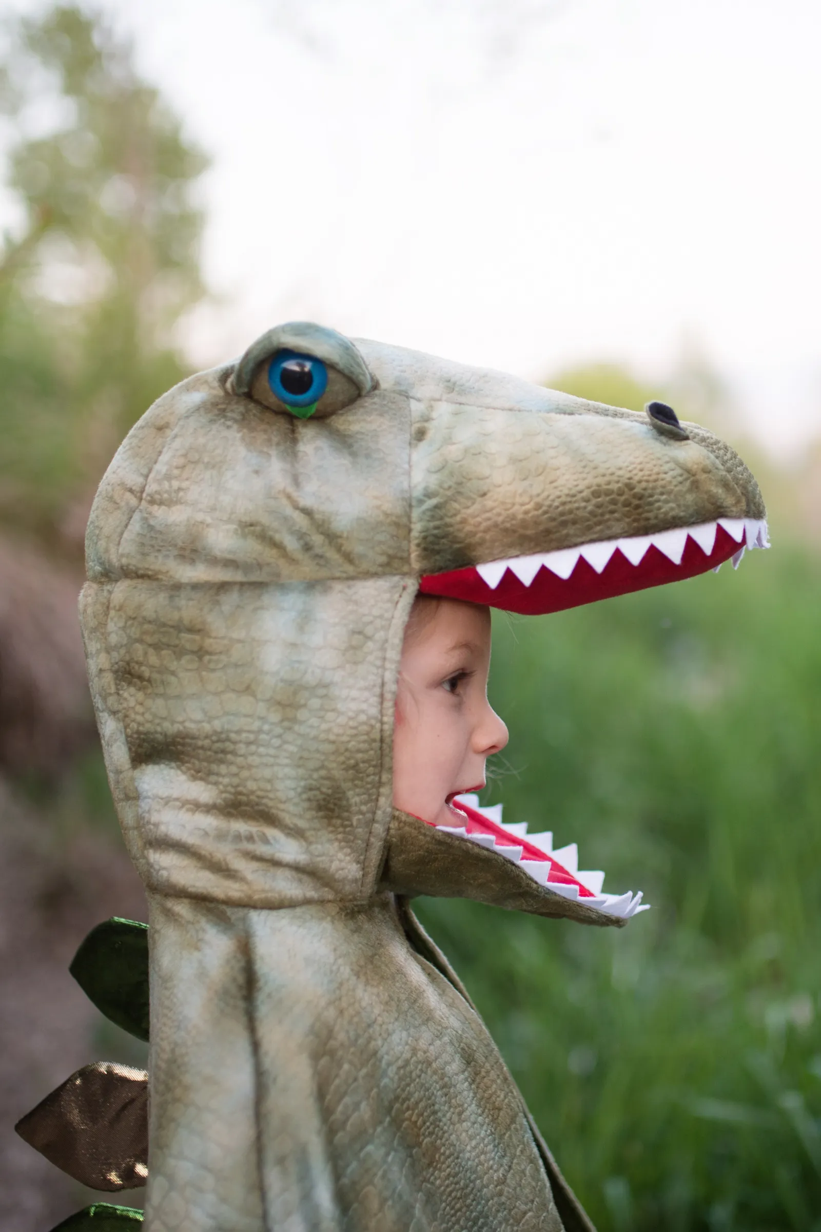 Grandasaurus T-Rex Cape with Claws